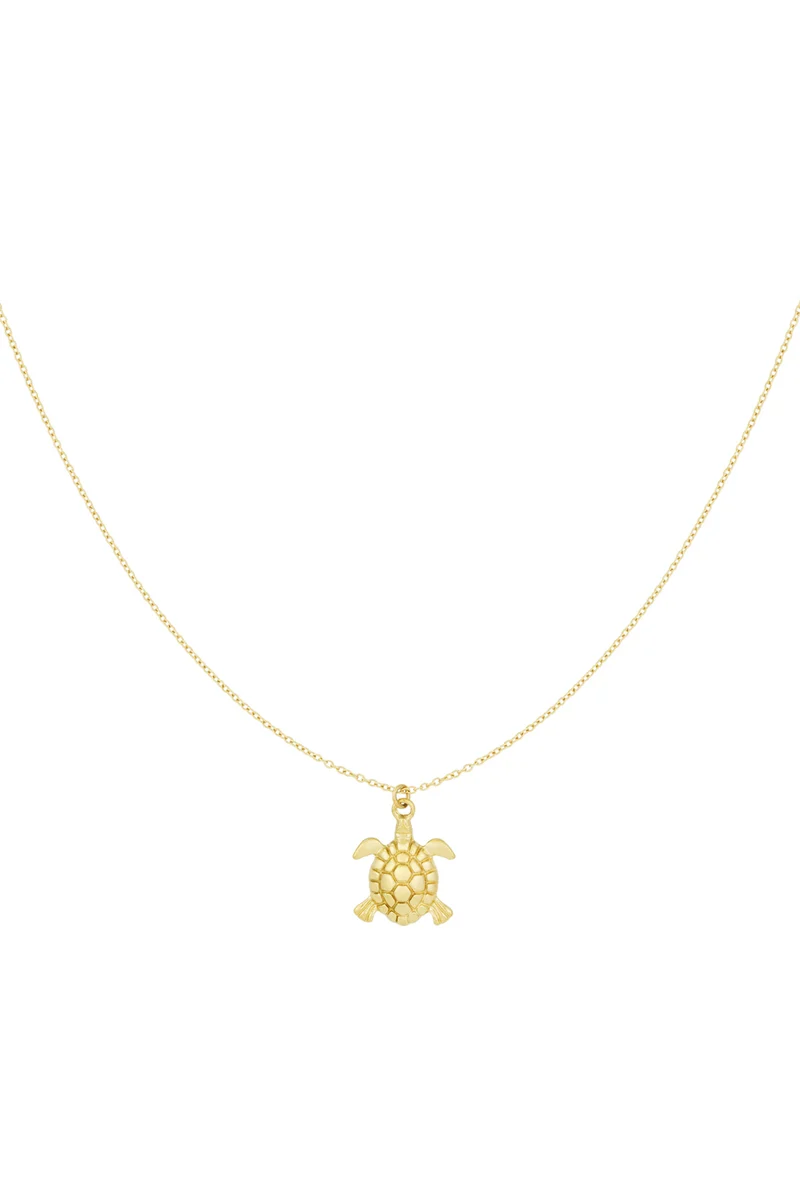 Collana con ciondolo stile marino – acciaio inossidabile argento e oro