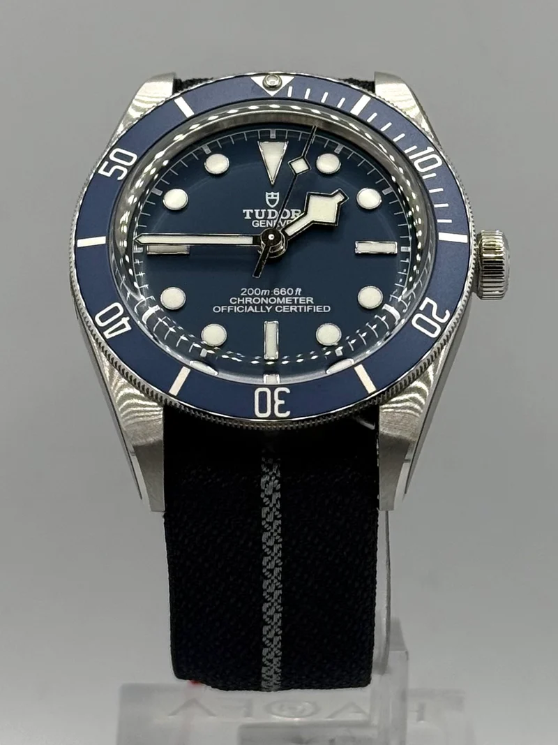 Tudor Black Bay
