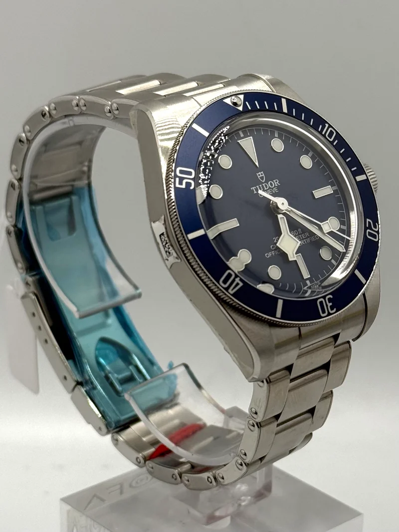 Tudor Black Bay