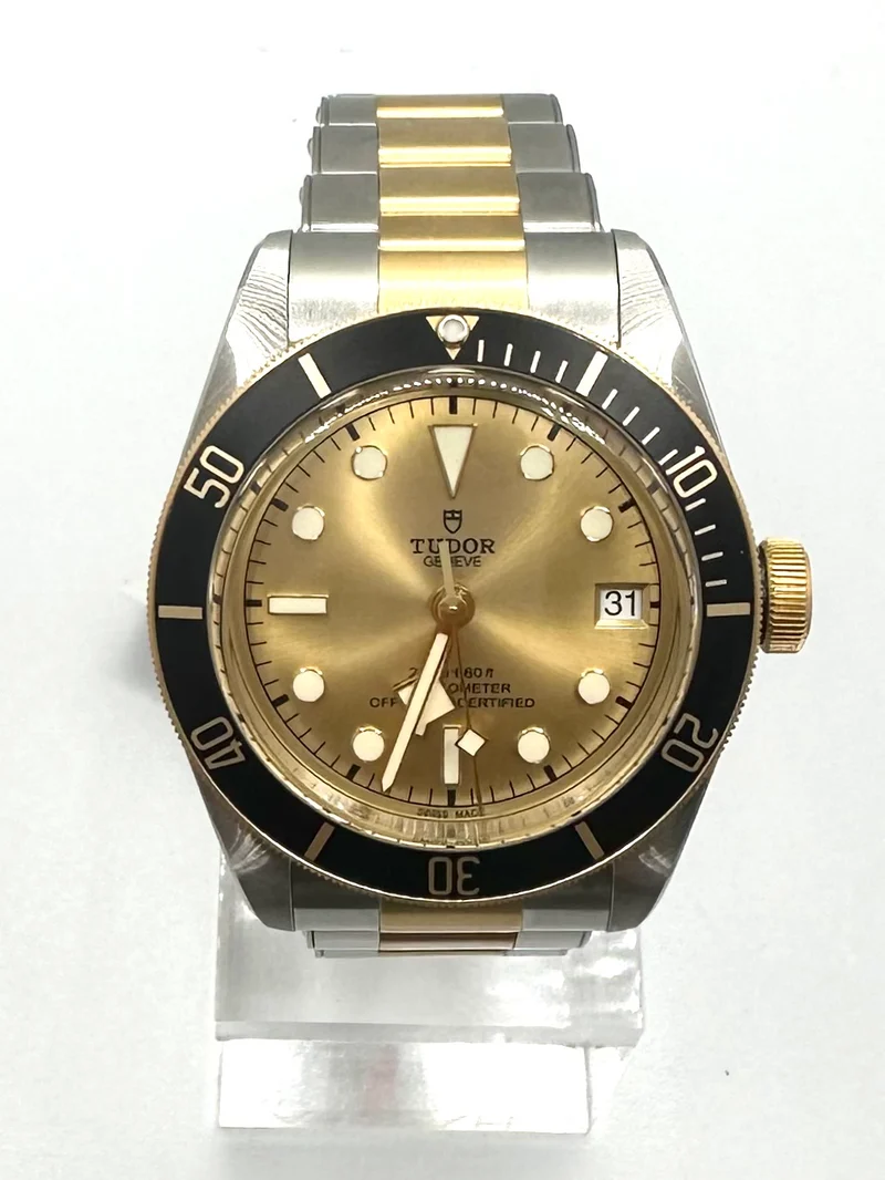 Tudor Black Bay