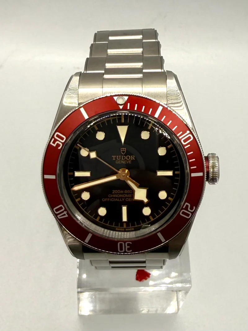 Tudor Black Bay