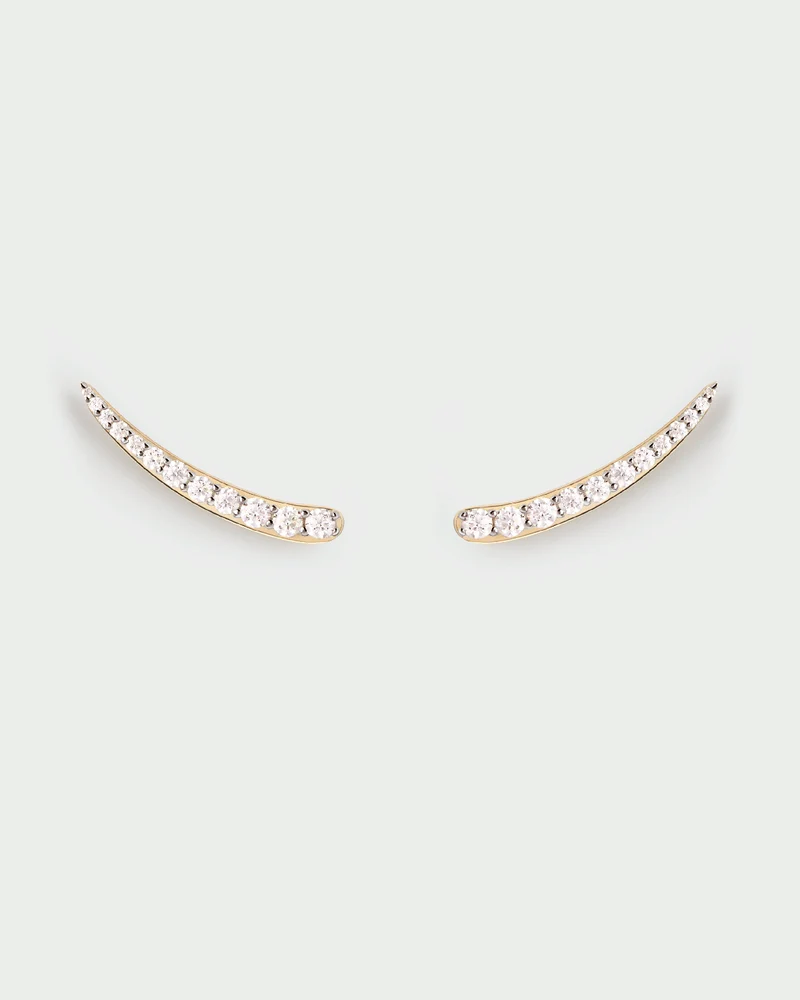 Riga climbing earrings
