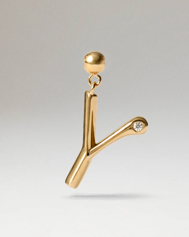 Initial Y Charm