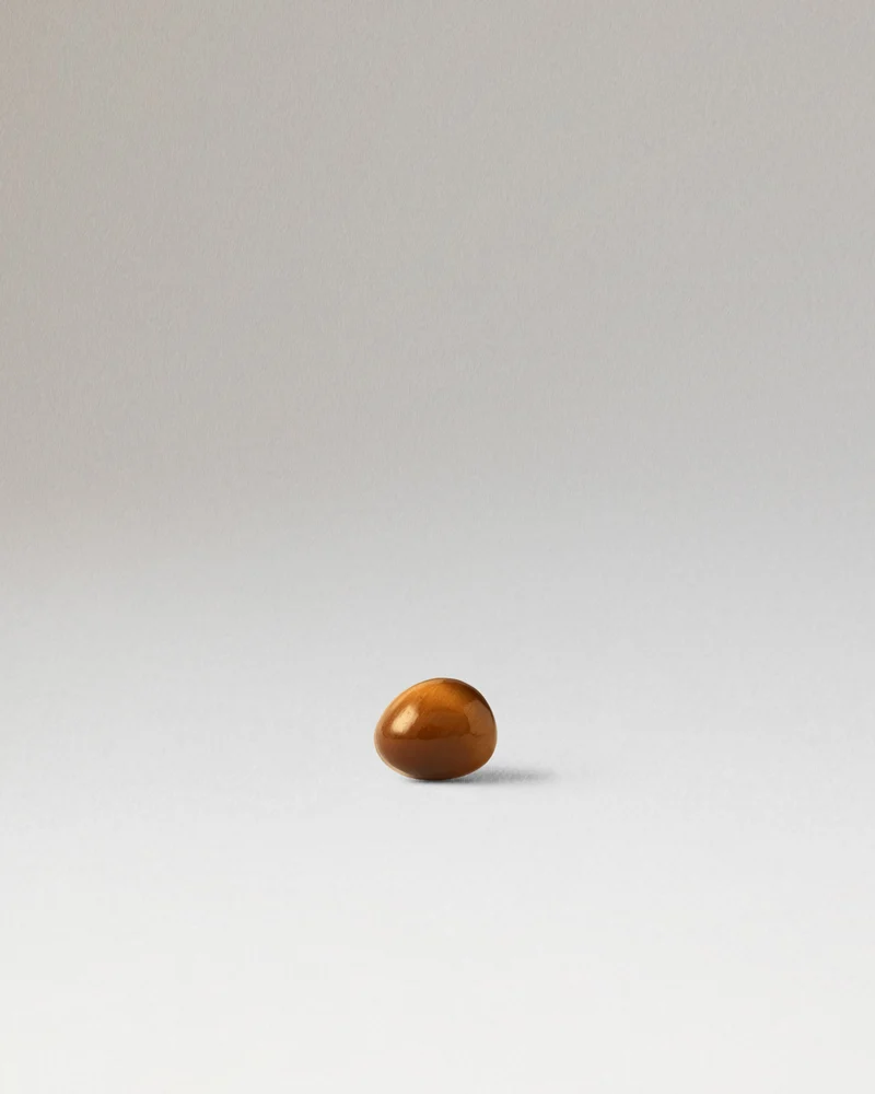 Tiger Eye Gravity Ear Piercing
