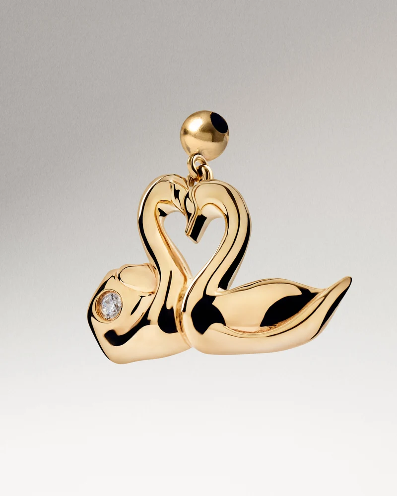 Love swans charm